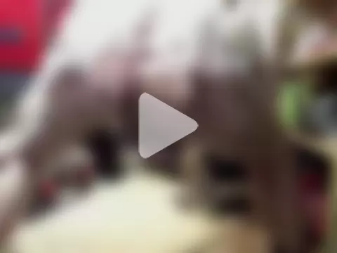 Frankdick01 photo 27