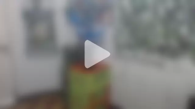 FunnyGrandma photo 23