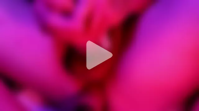 Funwithbrad1 photo 9