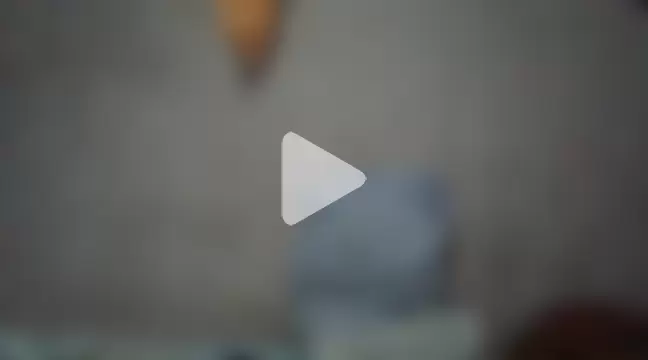 GATIINHA003 photo 13