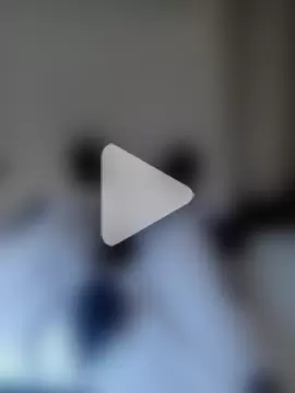 GeilerSchweizer photo 1