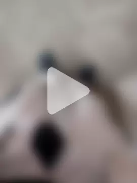 GeilerSchweizer photo 23