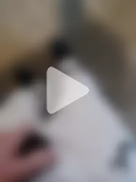 GeilerSchweizer photo 21