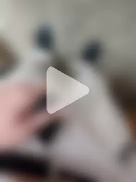 GeilerSchweizer photo 20