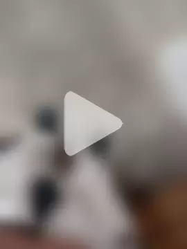 GeilerSchweizer photo 18