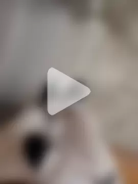 GeilerSchweizer photo 16