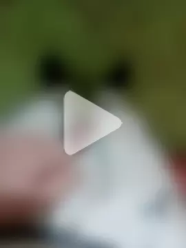 GeilerSchweizer photo 11