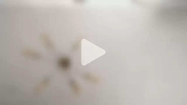 Gianna1810 photo 9