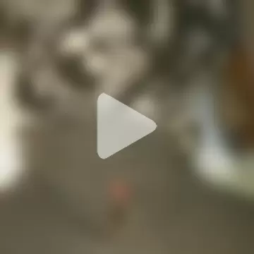 Gifttheskimaskboy photo 17