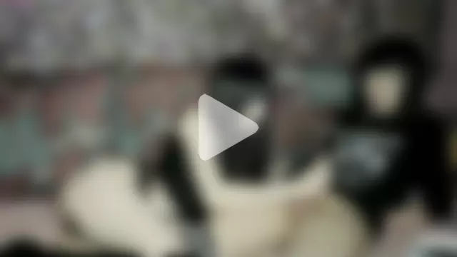 GraypacLive photo 18