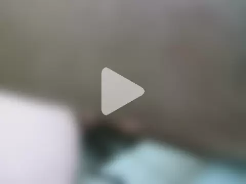Gregcam photo 12