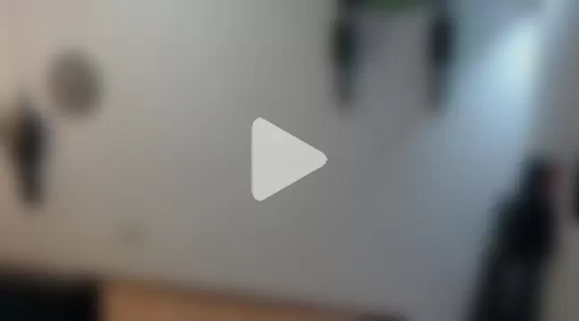 GruesoMexico photo 11