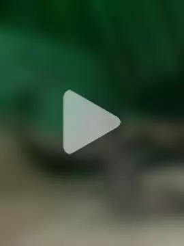 Gzinho69ik photo 8