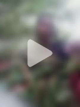 HOtpoojakoli photo 1