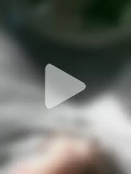 HairypapaK photo 19