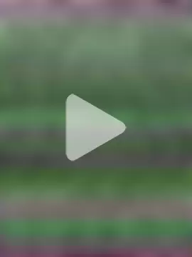 Heena_Sharma982 photo 6