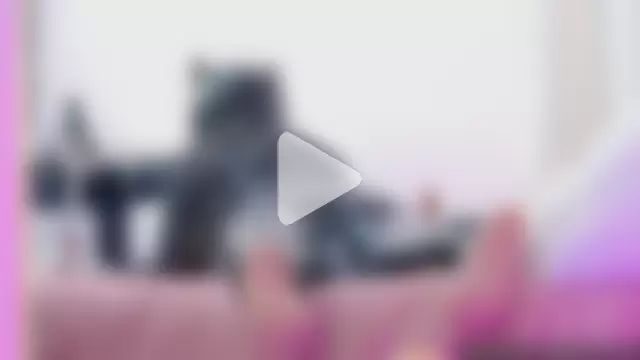 Hikikodoll__ photo 18