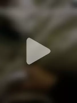 Hjsjsjsjjd photo 10