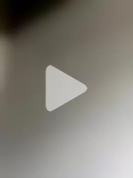 HoaHongXanh22 photo 21