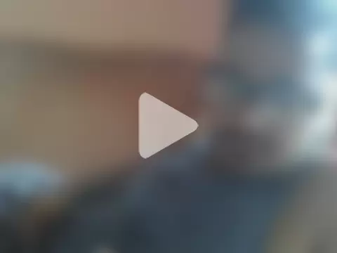 Honestguy100 photo 16