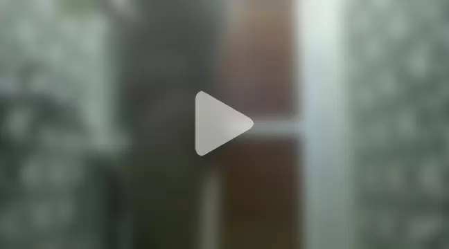 Honestguy100 photo 11