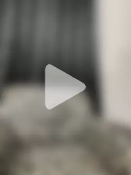 HoneyBearCpl photo 8