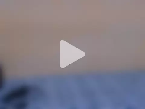 Honey_Baby1 photo 15