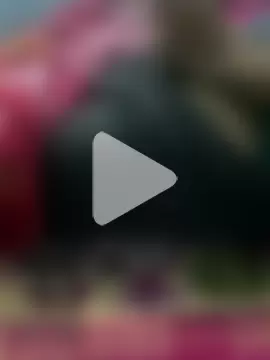 Honey_stranger photo 1