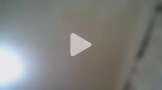 HornyRedBull photo 22