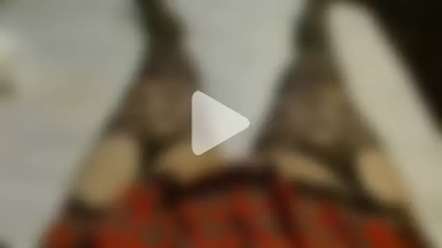 HornyZaber101xd photo 3