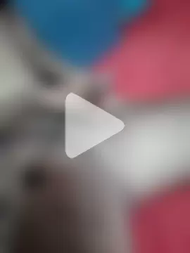 Horny_Glacier photo 3