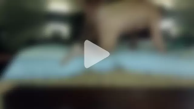 Hornylouisewil photo 17