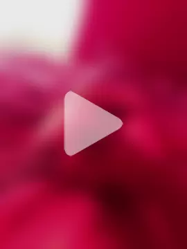 HotxStefan69 photo 12