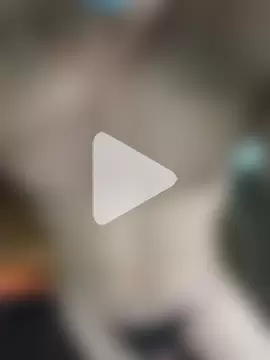 Huynh-duc-huy photo 10