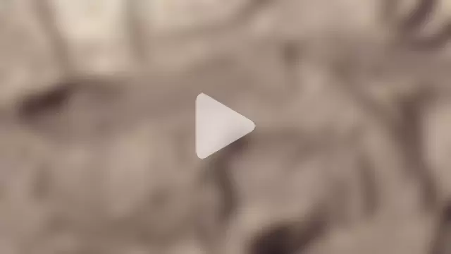 IceDanielles photo 1