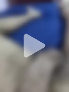 Idksvshskvsib photo 4
