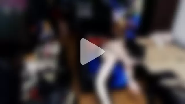 Imperatriza photo 17