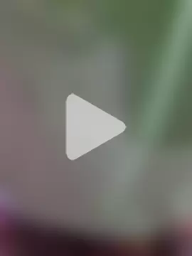 In2itvegassstyle photo 2