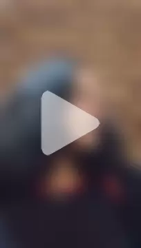 IncognitoLive1 photo 14