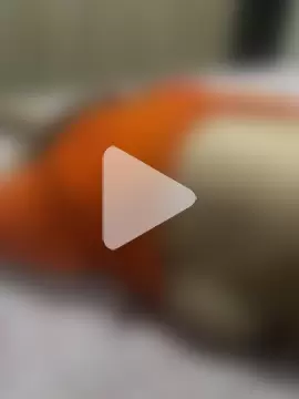 Indian_coupl1122 photo 8