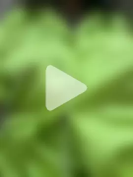 Indian_model9 photo 19