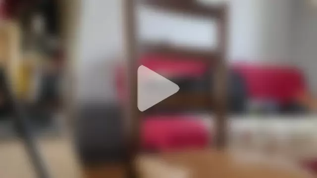 IndienTiger photo 17