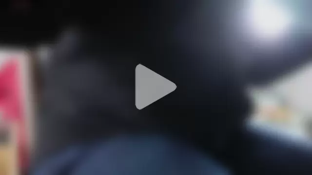 IndienTiger photo 10