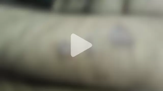 IndienTiger photo 12