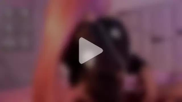 Isa_Bellats photo 21