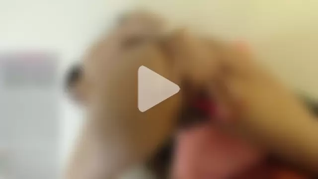 Isabela_cameron_vn photo 26