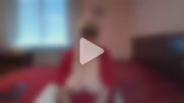 ItalianBigBoobs photo 17