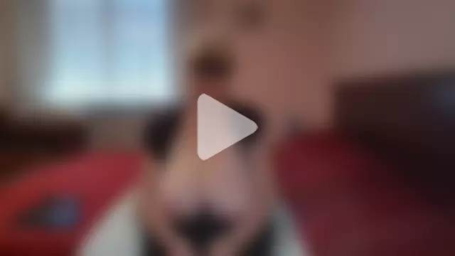 ItalianBigBoobs photo 5