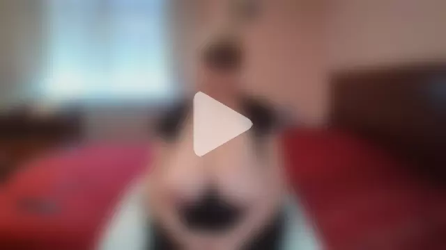 ItalianBigBoobs photo 10