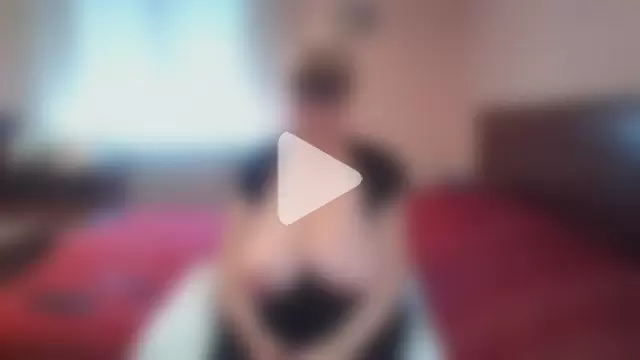 ItalianBigBoobs photo 23